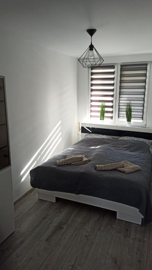 גלוחולאזי Apartament Zdrojowy מראה חיצוני תמונה