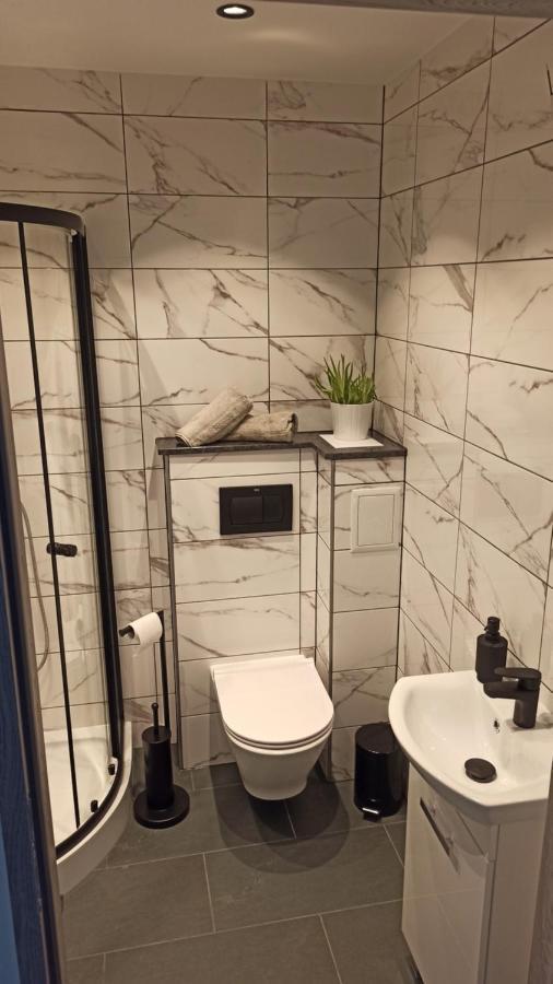גלוחולאזי Apartament Zdrojowy מראה חיצוני תמונה
