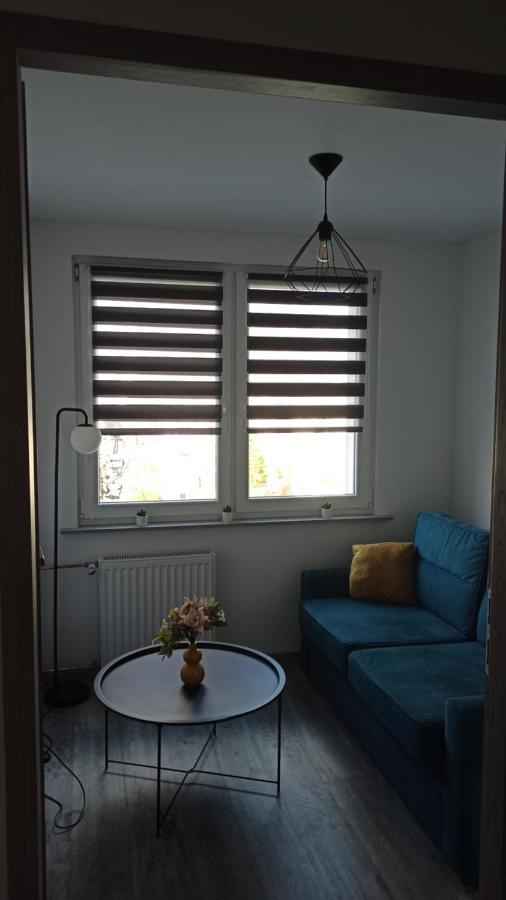 גלוחולאזי Apartament Zdrojowy מראה חיצוני תמונה