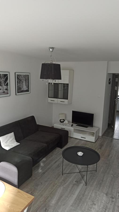 גלוחולאזי Apartament Zdrojowy מראה חיצוני תמונה